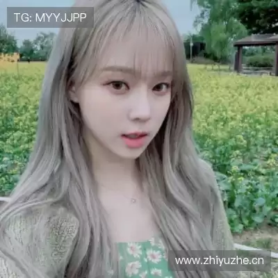 曹一淳