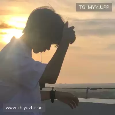 时杨慈
